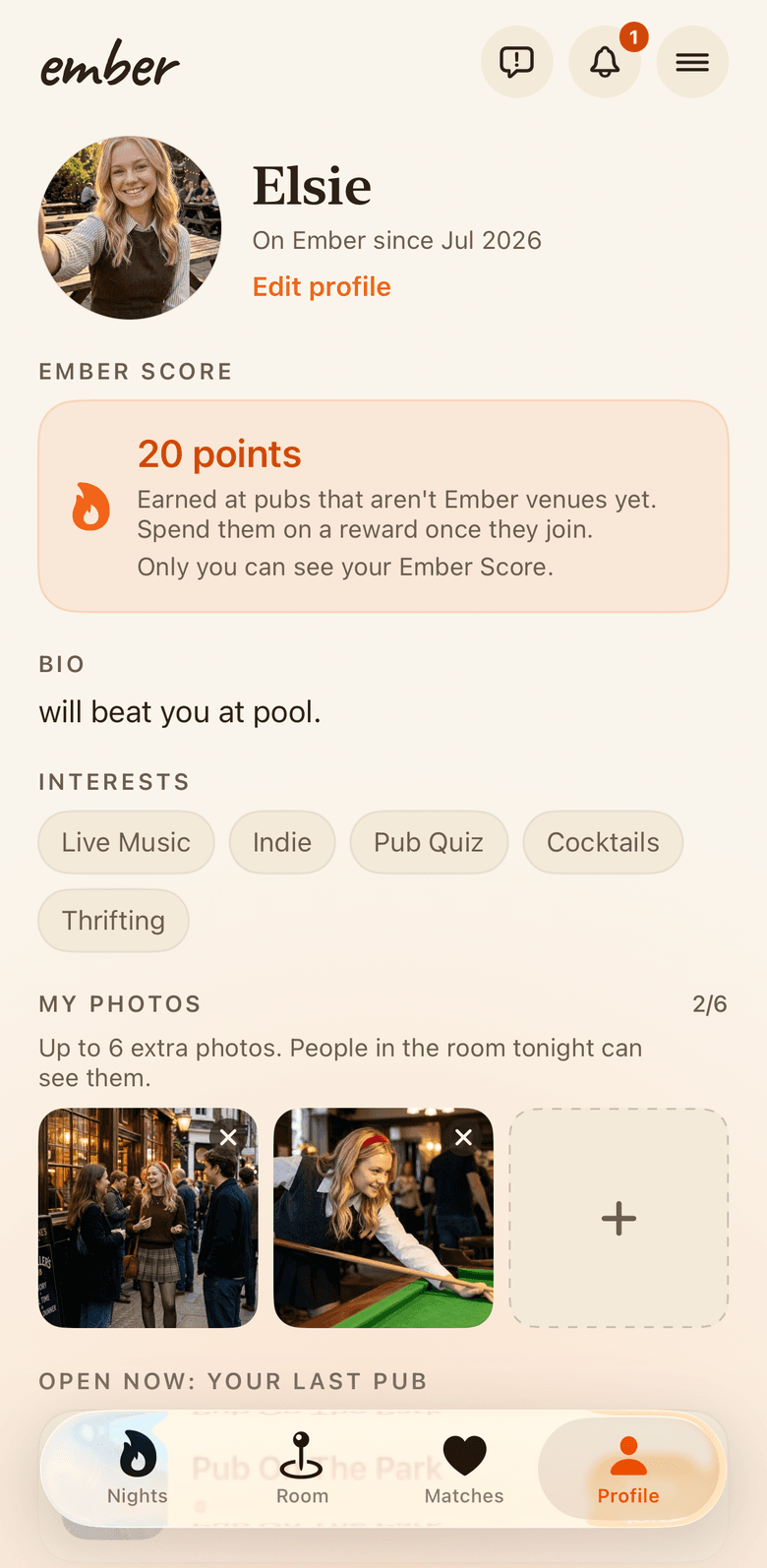 The profile page with bio, interests and photo slots